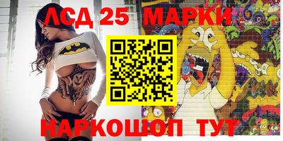 мяу мяу мука Кандалакша