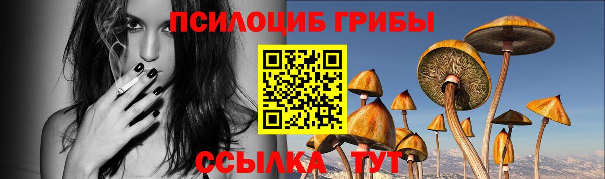 Сыктывкар  где найти наркотики  Вход с VPN  Галлюциногенные грибы GOLDEN TEACHER 
